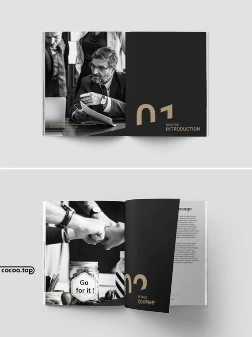 从零开始 新手转行图文编排设计的入门指南与核心技巧